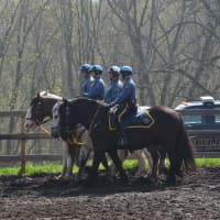 <p>Rockland County Sheriff&#x27;s mounted officers show off their skills.</p>