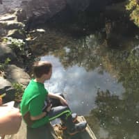 <p>Bronxville Elementary School students study the Bronx River by collecting data at the watershed and analyzing it in their classrooms.</p>