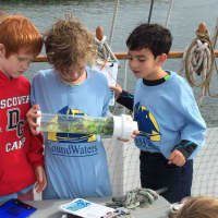 <p>Bronxville Elementary School&#x27;s Harry Phillips, Thomas Freeman, Ashton Hamerling look at a mock up of what pollution and sea animals would look like in the Long Island Sound.</p>