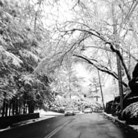 <p>Snow on Pondfield Road in Bronxville.</p>