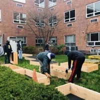 <p>Funds that exceed Zachary&#x27;s goal will go directly to Northern Westchester Hospital for annual replanting.</p>
