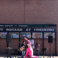 <p>The inaugural Ossining Health and Wellness Day is set for Saturday, May 7.</p>