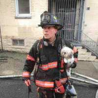 <p>Yonkers FD Lt. Steve Trizano with one of two rescued dogs at the apartment file.</p>