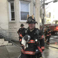 <p>Yonkers firefighter Brendan Healy holds the other rescued dog.</p>