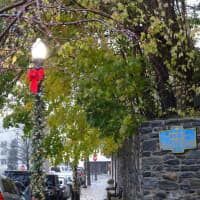 <p>NYP/Lawrence Hospital has entered a partnership with the village to decorate Bronxville for the holidays.</p>