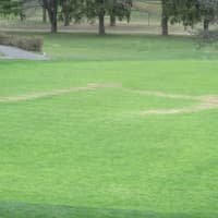 <p>Damaged greens at Port Jefferson Country Club (44 Fairway Drive)</p>