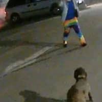 <p>A man is wanted for questioning in Suffolk County after allegedly mistreating a dog outside the Huntington High School.</p>