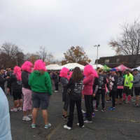 <p>Runners drape themselves in pink for the Vicki Soto 5K in Stratford. </p>