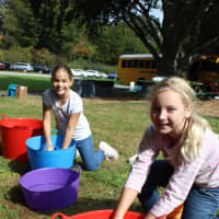 <p>Pocantico Hills students wash vegetables for their school&#x27;s annual Harvest Soup Festival.</p>