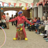 <p>A clown strolls down Main Street, but not the same clown that law enforcement officials are warning people about.</p>