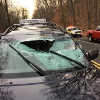 <p>A driver was injured when a tree branch slammed through the windshield of their car in Weston.</p>