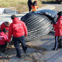 <p>Experts examine a humpback whale that was found dead in Long Island Sound over the weekend. </p>