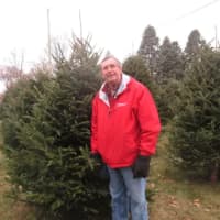 <p>Owner Randy Pratt in front of one of the 2014 Christmas trees at Wilkens Farm in Yorktown Heights.</p>