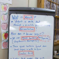 <p>A whiteboard tells Ridgefield Academy students about the yogurt making process.</p>