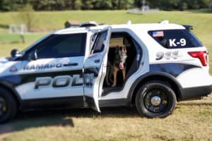 Wanted Man Nabbed In Rockland With Help Of K-9, Police Say