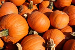 Ho-Ho-Kus Unplugged Re-Schedules Pumpkinfest 2016 For October 23