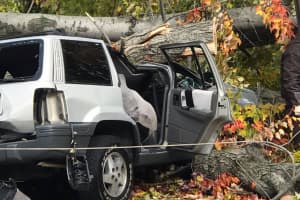 Passaic Driver, 66, Trapped After High Winds Topple Tree