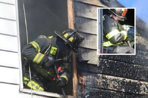 Four Cats, Dog Rescued, Other Perish In Garfield House Fire