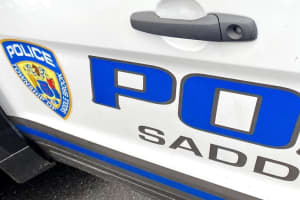 Saddle Brook Boy Charged With Carjacking His Mom
