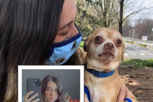 NJ Woman's Brutally Honest Adoption Ad For 'Neurotic Mess' Chihuahua Goes Viral