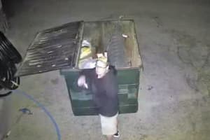 Know Him? Police Attempting To Identify Theft Suspect From Beekman Business