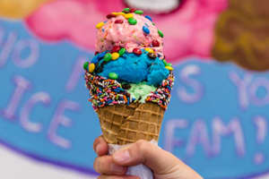 VOTE: Who Sells The Best Ice Cream In Union County?