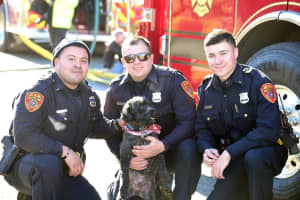 Three Officers Hospitalized After Rescuing Dog From Long Island House Fire