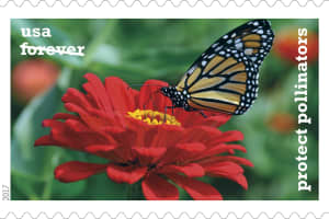 Hudson Valley Photographer Gets Stamp Of Approval From US Postal Service