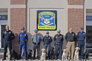 State Police Offers Specialized Training For K9 Units From Across Country
