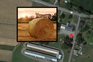 Amish 4-Year-Old Boy Dies After Farming Accident In Central PA