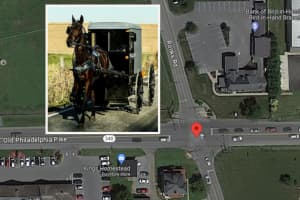 Amish Buggy Driver Cited For Crash: Pennsylvania State Police