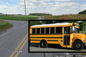 School Bus Driver Charged After Crash Hospitalizes 8: PA State Police