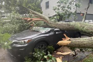 Large Tree Falls On Home In Fairfield County, Crushes Vehicle