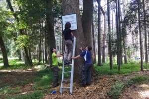 Land Conservancy Volunteers Help Keep Pound Ridge Green And Clean
