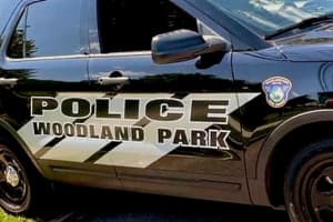 Woman Found Dead In Backyard Woodland Park Pool