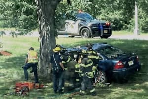 NJSP: Driver, 70, Killed In Labor Day Weekend Crash On Garden State Parkway