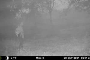 Missing Gabby Petito Boyfriend May Have Been Seen On Deer Cam