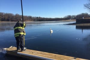 Firefighters Rescue Swan Stuck In Ice On Candlewood Lake