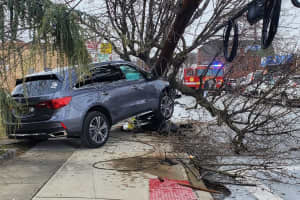 SUV Crash Downs Pole, Tree In Clifton
