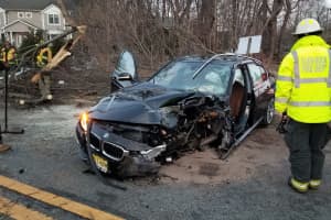 Glen Rock PD: Ho-Ho-Kus Driver Slams BMW Into Tree
