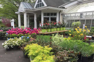 Flowers Everywhere: Greenwich Non-Profit Holds Annual Fundraising Event
