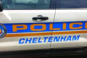 Philly Carjackers Nabbed In Cheltenham: Police