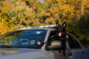 CT State Police K-9 Officer Will Get Protective Vest