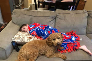 Home Is Where The Dog Is: Paramus Crash Victim Recovers With Beloved Pup