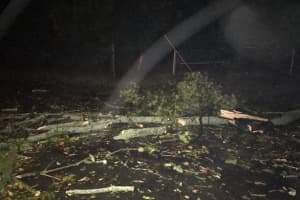 Downed Tree Advisory Issued In Easton