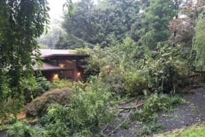 Tree Falls Through Roof Of Rockland Home