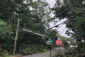 Toppled Tree Brings Down Power Lines, Shutting Down Several Tuckahoe Roads