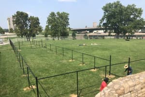 Off The Chain: Dog Park Opens In Passaic