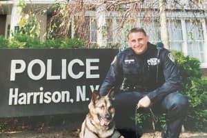 Retired Sergeant, Canine Handler Who Served In Westchester Dies At 50: 'Exemplary Member'