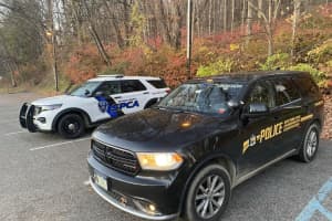 Discovery Of Possible Skinned Dog At Hudson Valley Parking Lot Prompts Police Response